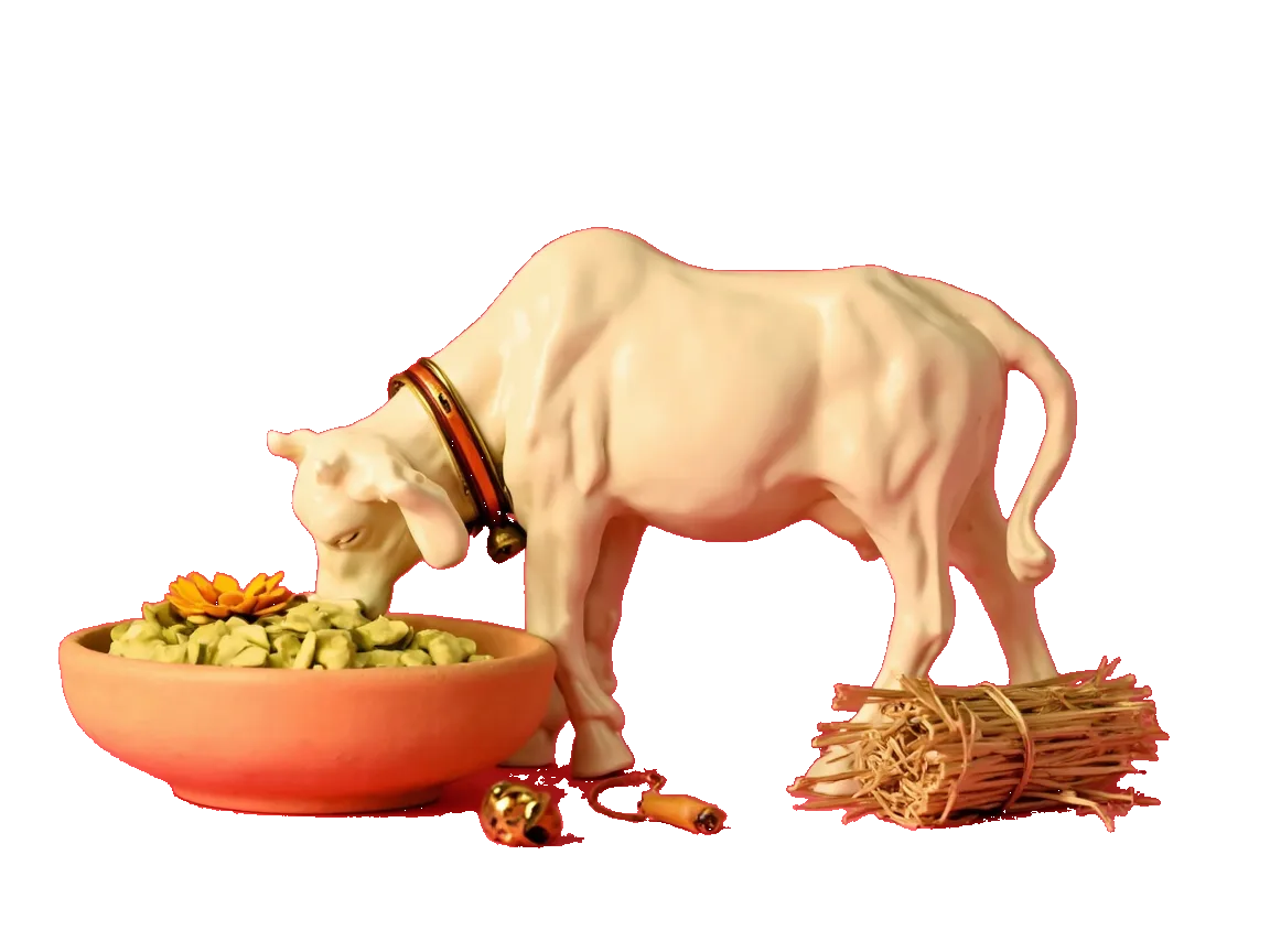 તાજા ઘાસના માટીના વાટકા પાસે ક્રીમ રંગની ગાય